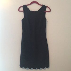 Beautiful J Crew Dress